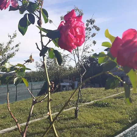 Casa Tra Le Vigne Belveglio